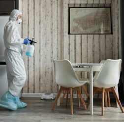 Mold Remediation Fort Worth